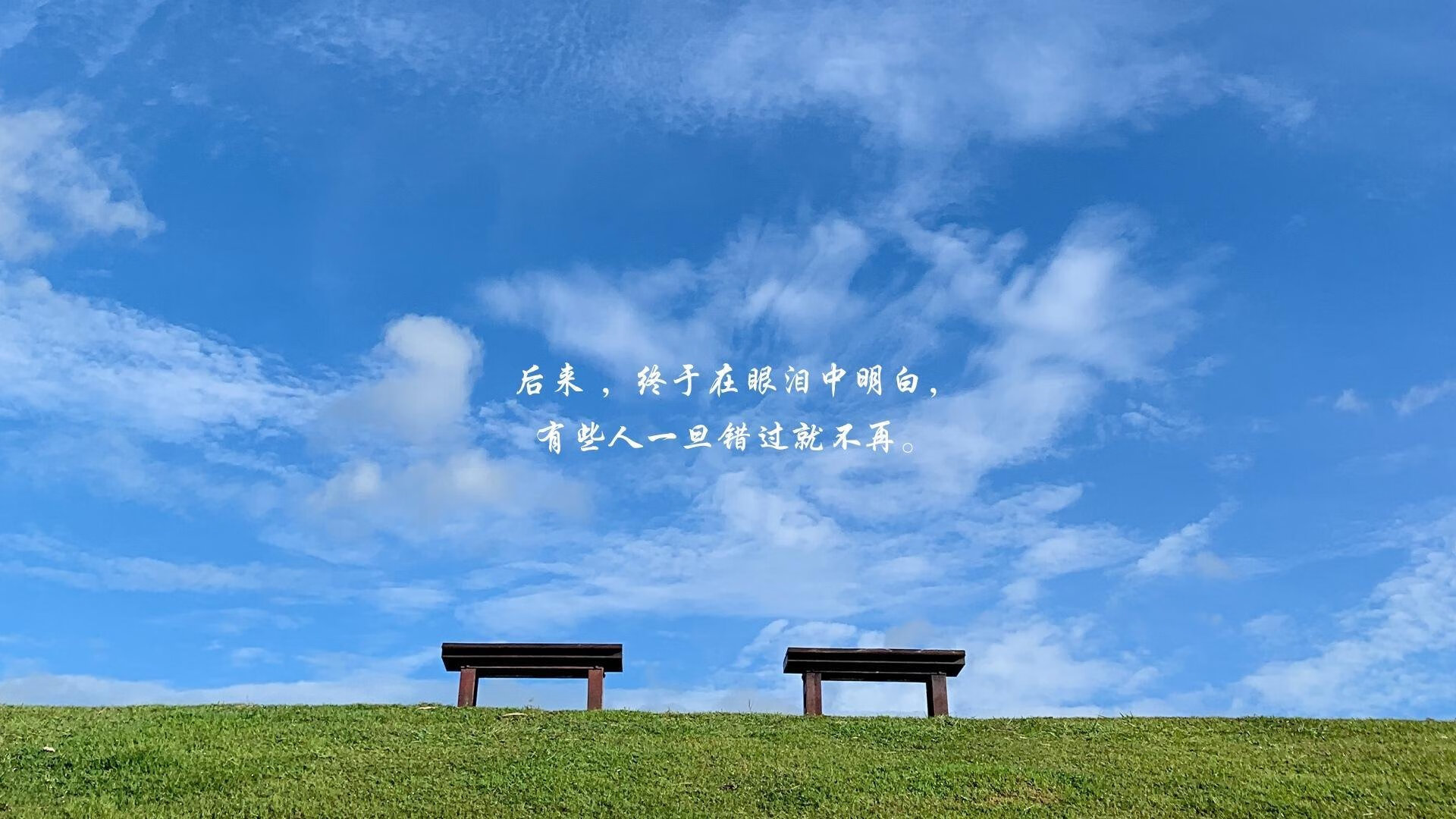 北非之鹰一剑封喉！奥亚尔萨瓦尔绝杀定音，突尼斯正面击溃玻利维亚魔笛