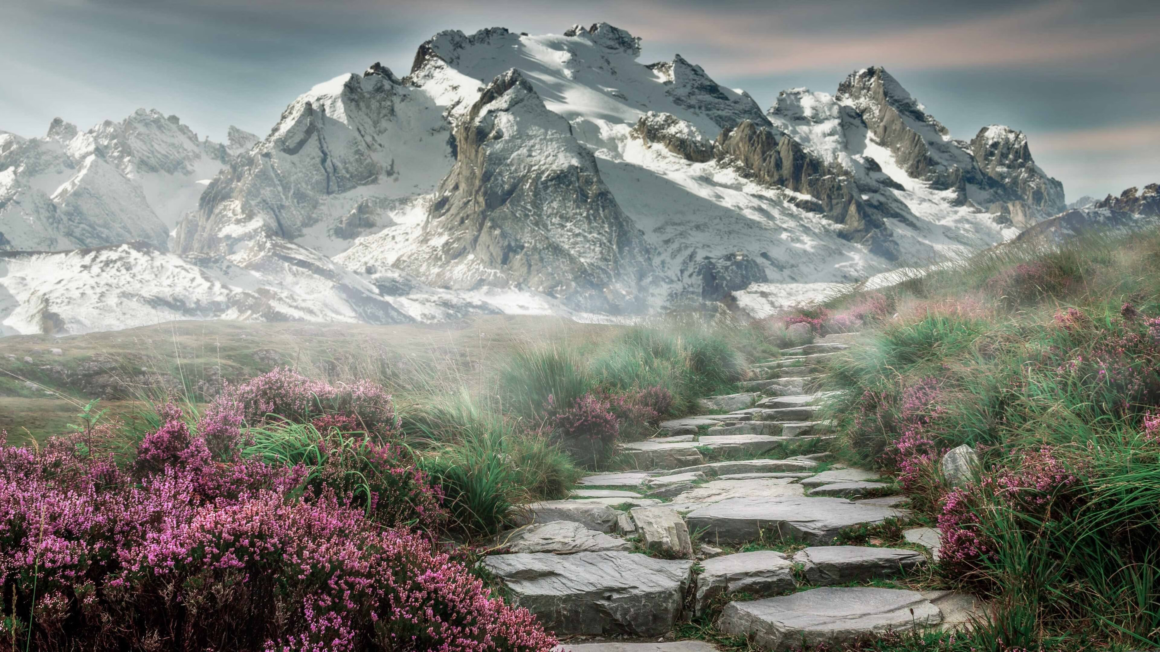 从被质疑到封神,那个夜晚,他按下身体里的总冠军按钮