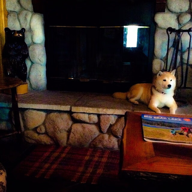 巴黎之雨,当浪漫城邦在抢七局扼住安第斯的呼吸