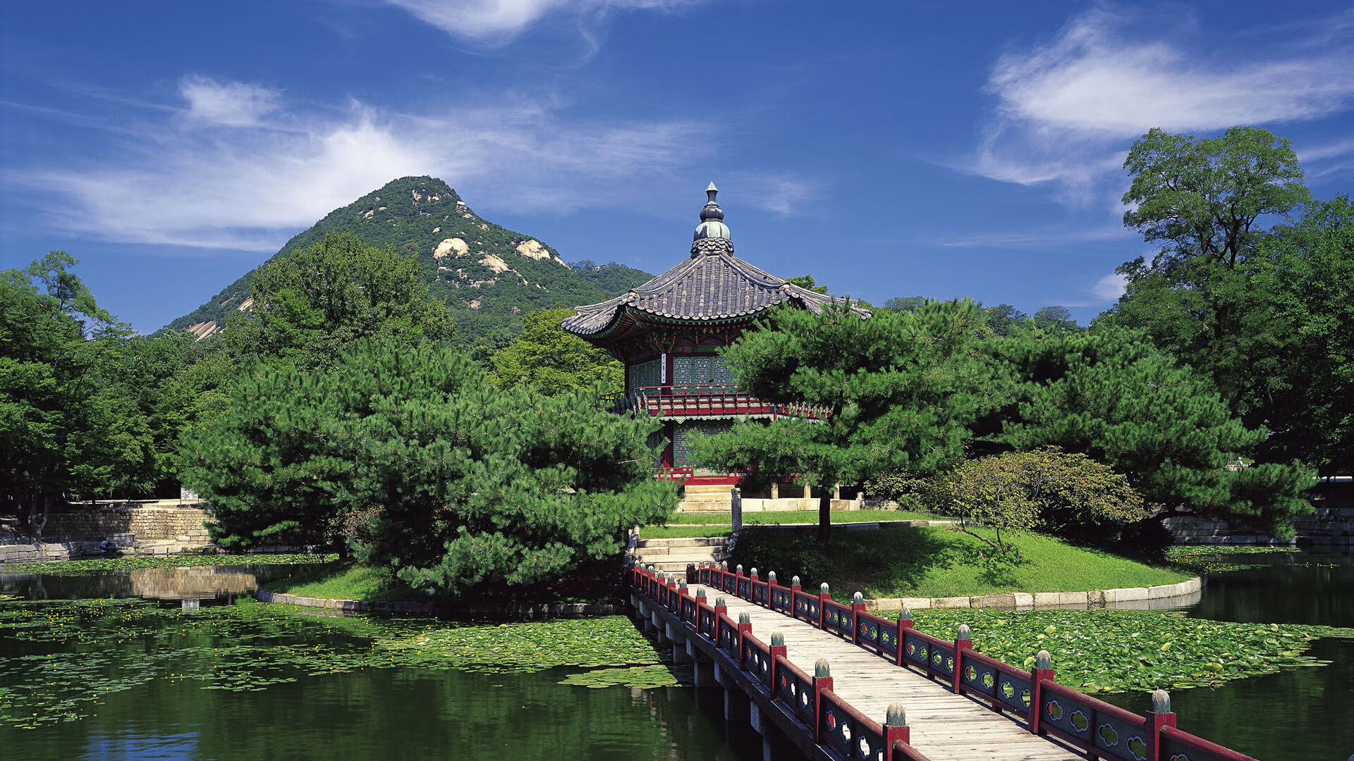 西决生死战前夕，南太平洋惊雷，新西兰男篮掀翻世界劲旅墨西哥