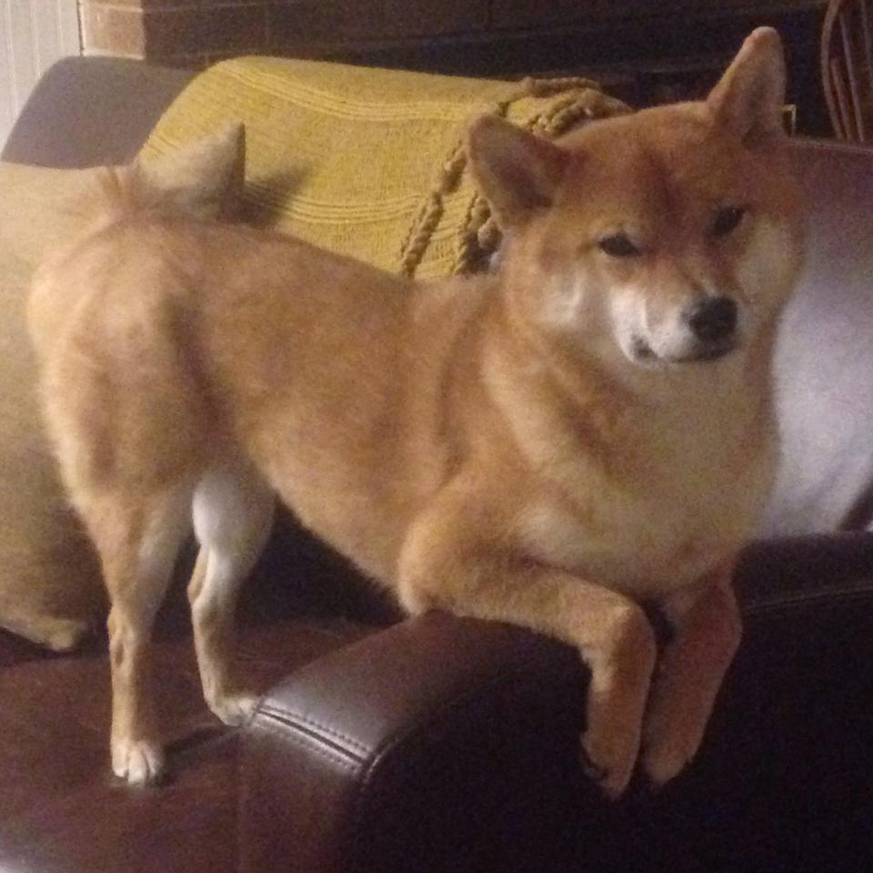 姆巴佩一剑封喉！毕尔巴鄂逆转瑞士登顶争冠战