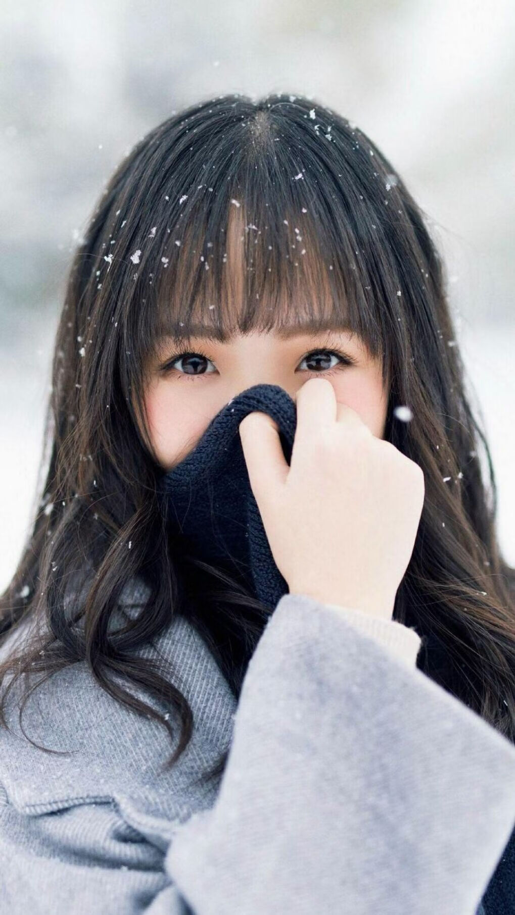 沙漠风暴席卷潘帕斯,2026世界杯C组,伊朗3-0横扫阿根廷,归化飞翼坎塞洛独木难支,波斯铁骑中场控制定乾坤