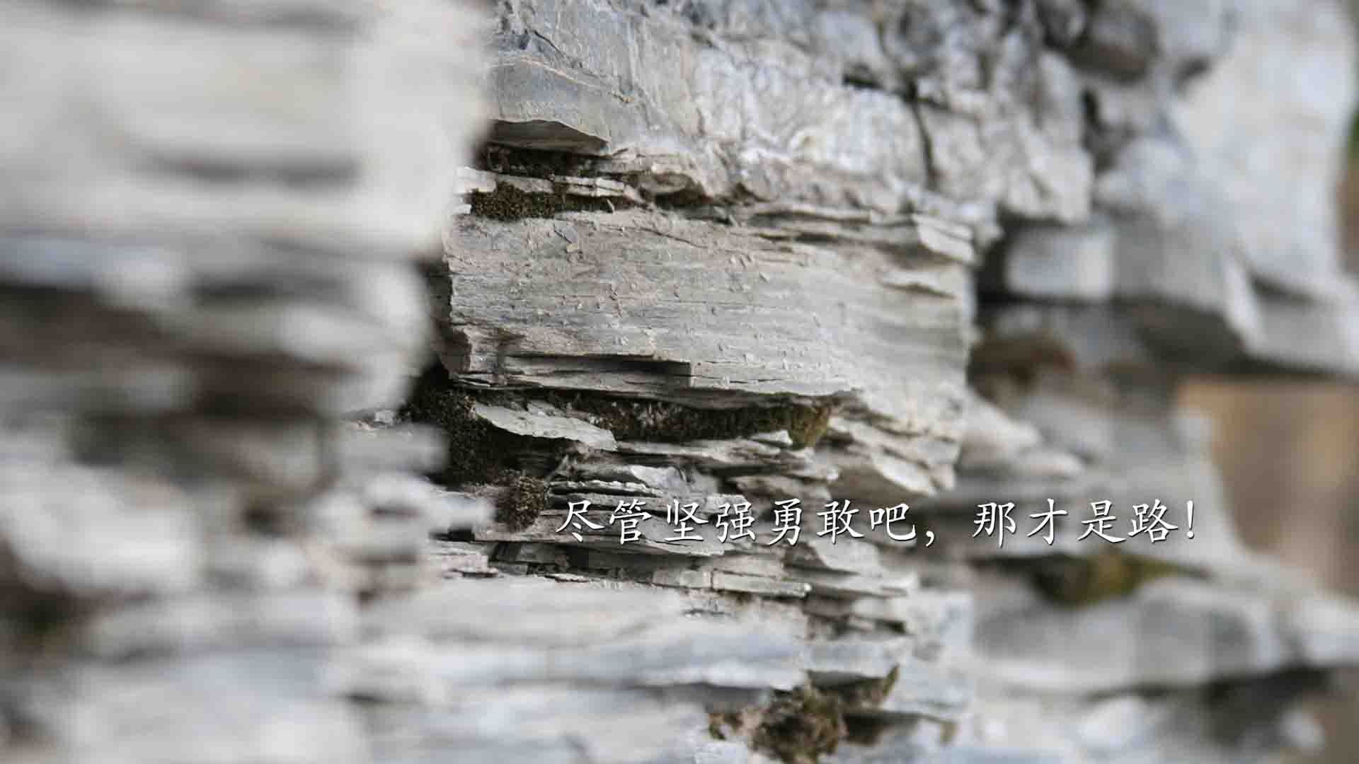 维京战吼下的钢铁长城,范戴克铁血封堵,冰岛绝境斩挪威,G组悬念再起