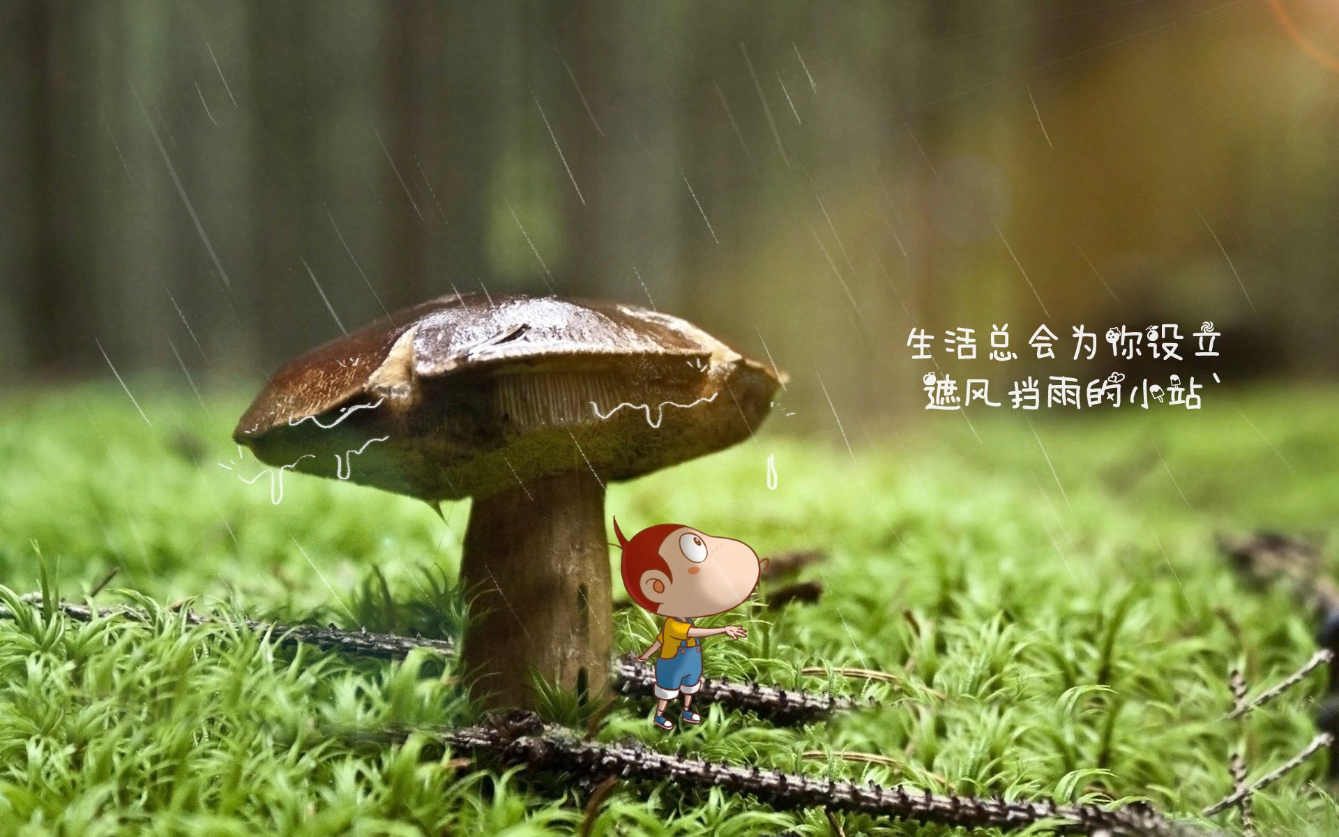 从里斯本到孟买,C罗身披印度战袍,A组血战瑞典上演惊天逆转