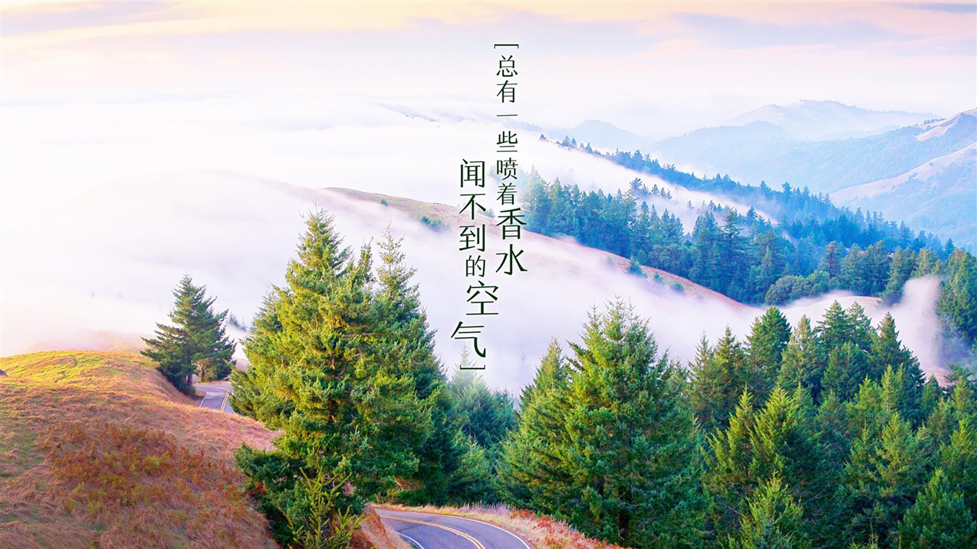 开云体育app-安第斯山脉的闪电，厄瓜多尔如何用临场魔术掀翻德国战车，萨卡加冕G组之王