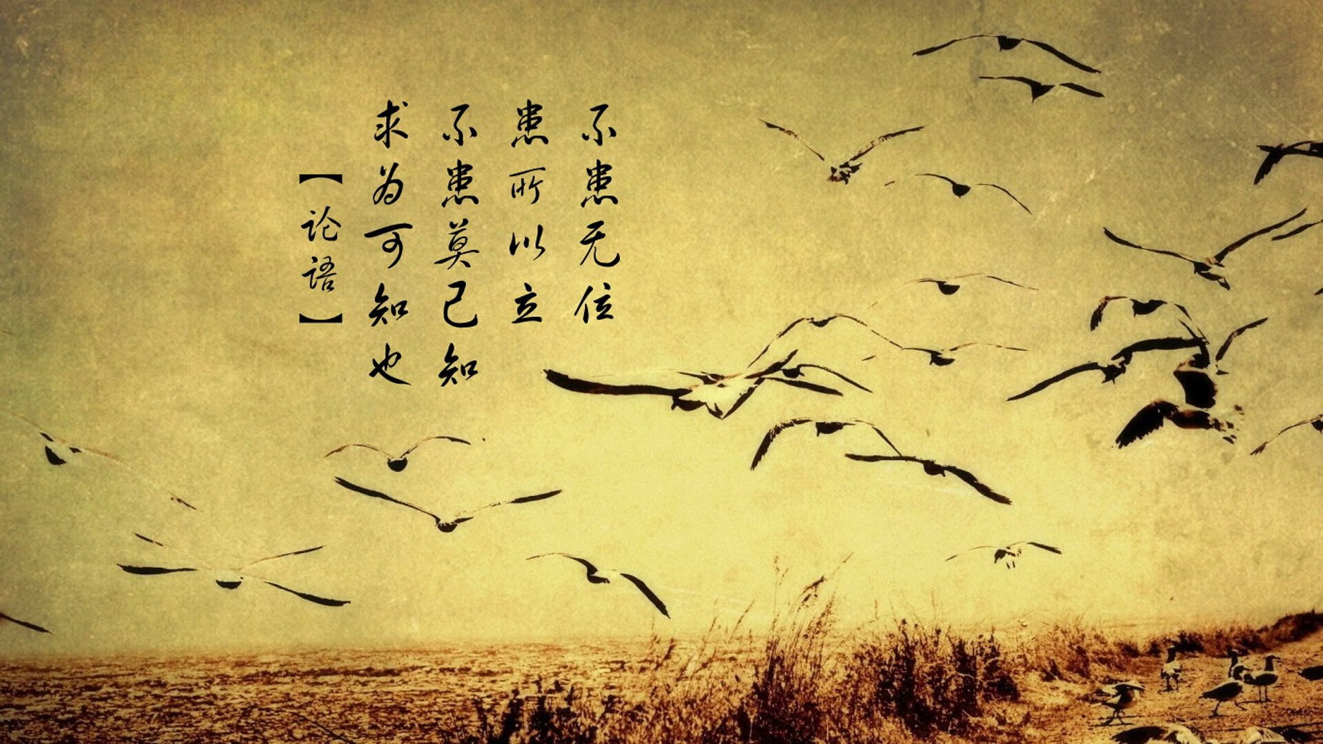 奇兵天降,2026世界杯D组,卢卡库化身秘鲁搅局者,西班牙传控梦碎安第斯之巅